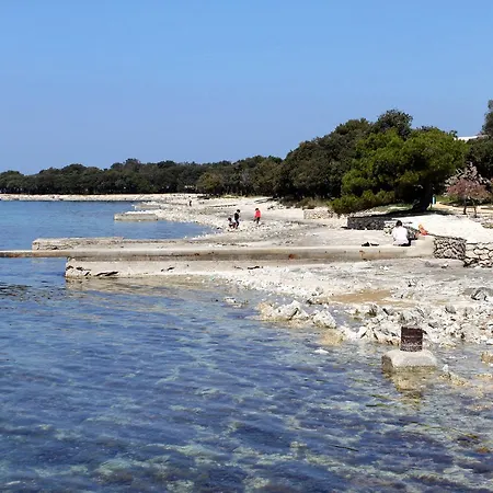 Family Friendly Seaside Apartments Petrcane, Zadar - 3270 Apartment *