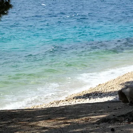 Family Friendly Seaside Petrcane, Zadar - 3270 ペトルチャネ